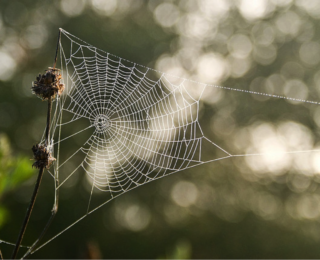 11 Crimini contro il Web Marketing e la sua comunità